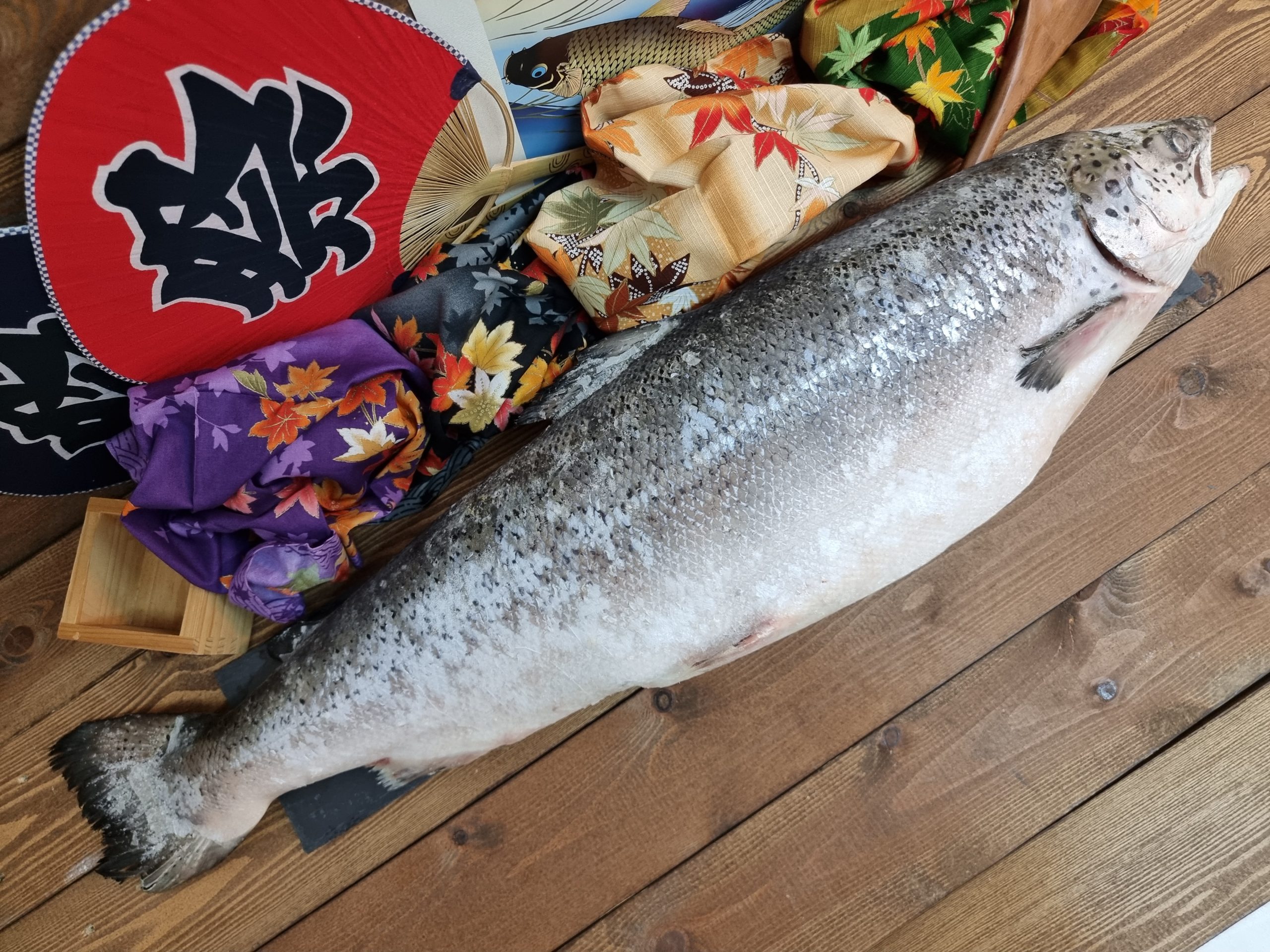 Лосось (Чили) купить в интернет-магазине Tsukiji.group